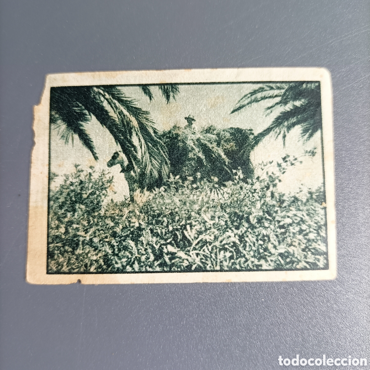 Coleccionismo Cromos antiguos: GALLINA BLANCA 2. SERIE 70. №7 HACIENDA RURAL