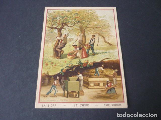 Collectable Antique Stickers: LA SIDRA ANTIGUO CROMO