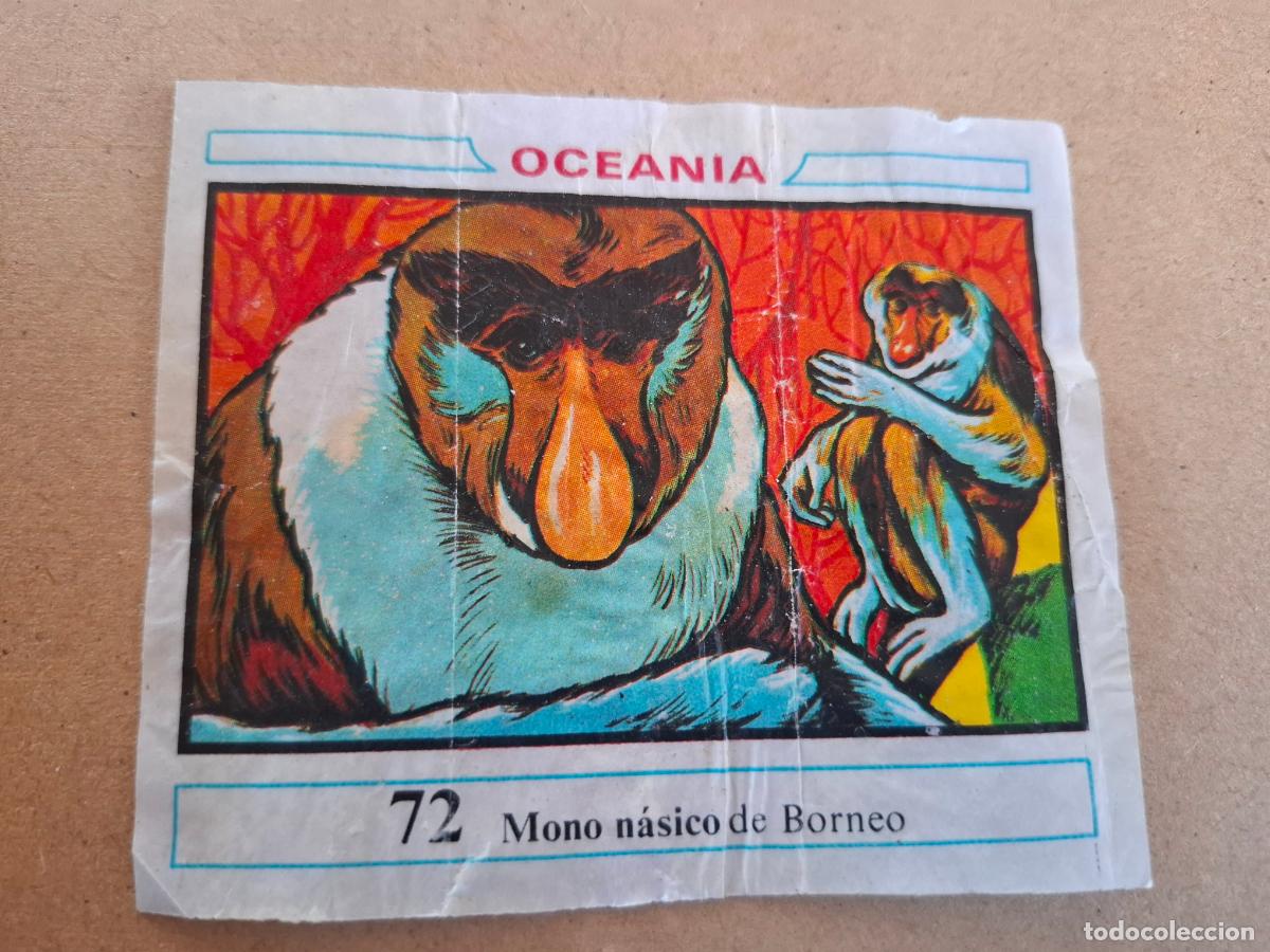 Coleccionismo Cromos antiguos: OCEANIA - DUNKIN - CROMO N&ordm; 72 MONO N&Aacute;SICO DE BORNEO - CPP1