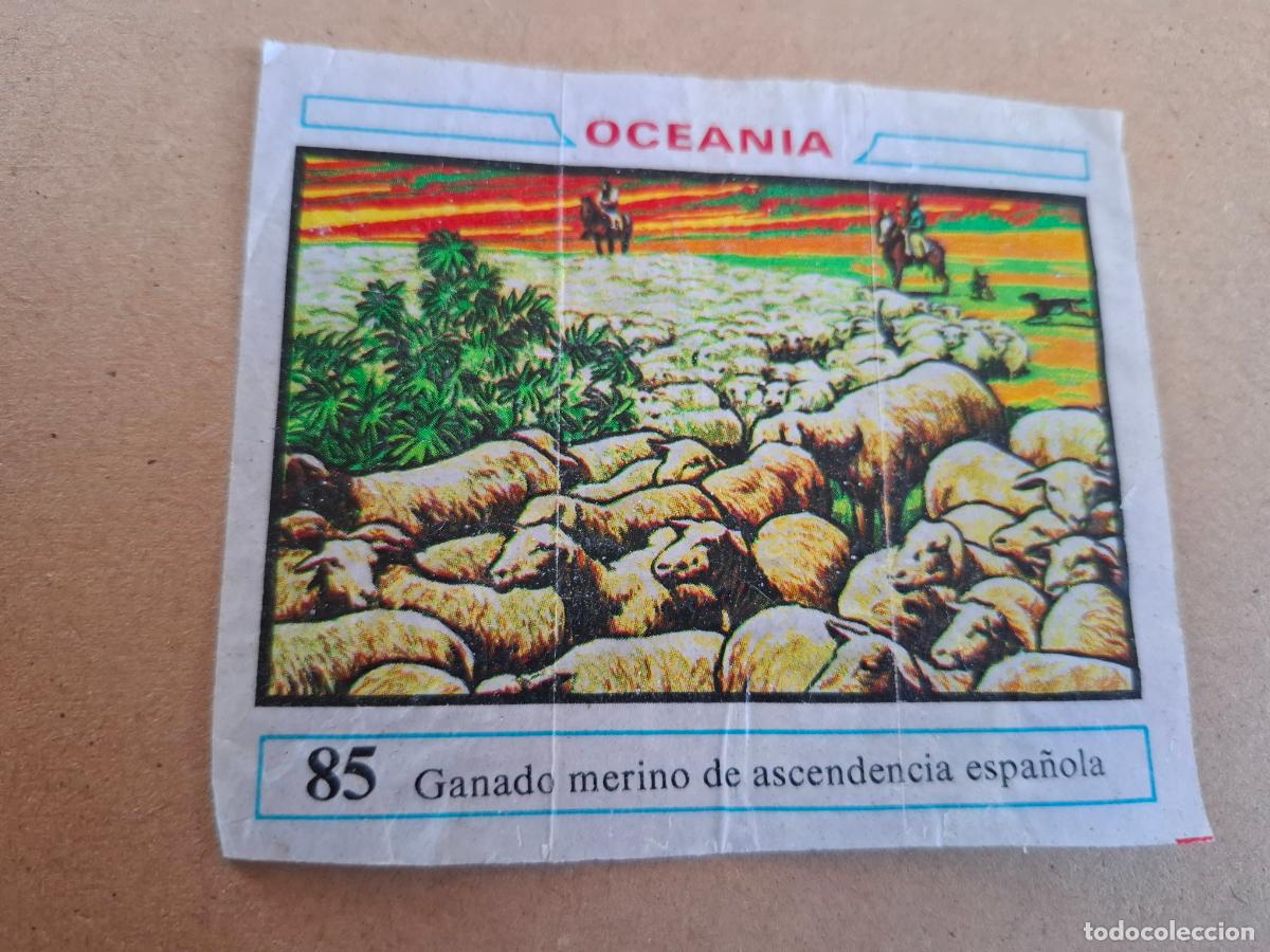 Coleccionismo Cromos antiguos: OCEANIA - DUNKIN - CROMO N&ordm; 85 GANADO MERINO DE ASCENDENCIA ESPA&Ntilde;OLA - CPP1
