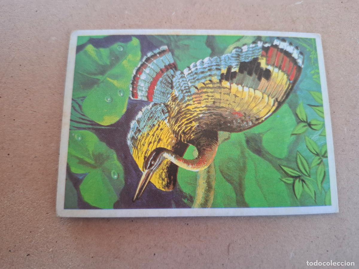 Coleccionismo Cromos antiguos: DUNKIN SUPERCROMO - LAS AVES - CROMO N&ordm; 12