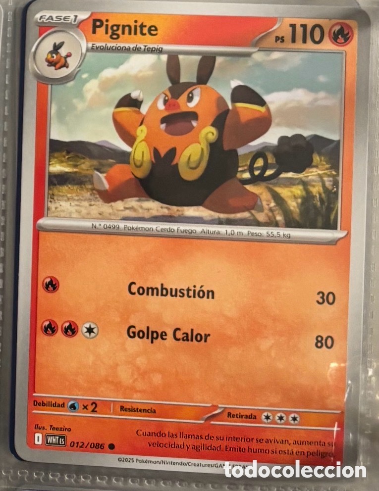 Coleccionismo Cromos antiguos: PIGNITE 012/086 Carta Pokemon TCG PACK INICIALES