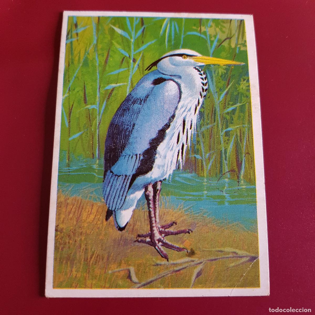 Coleccionismo Cromos antiguos: DUNKIN SUPERCROMO - LAS AVES - 10 - NUNCA PEGADO