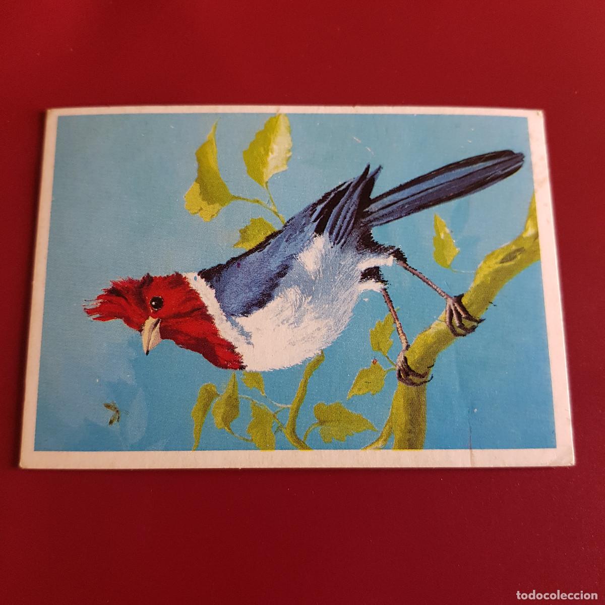Coleccionismo Cromos antiguos: DUNKIN SUPERCROMO - LAS AVES - 9 - NUNCA PEGADO