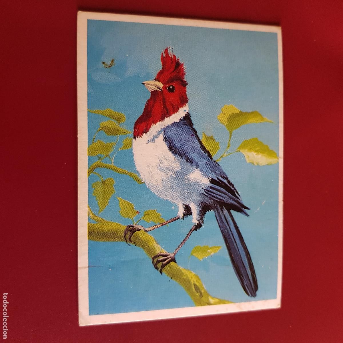 Colecionismo Cromos antigos: DUNKIN SUPERCROMO - LAS AVES - 9 - NUNCA PEGADO
