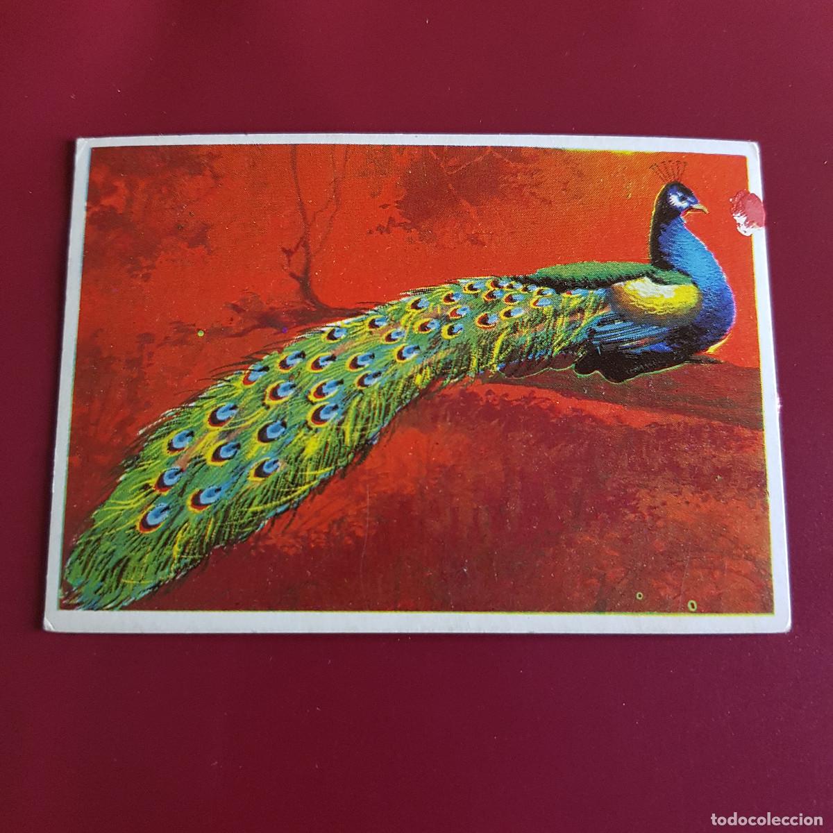 Coleccionismo Cromos antiguos: DUNKIN SUPERCROMO - LAS AVES - 4 - NUNCA PEGADO
