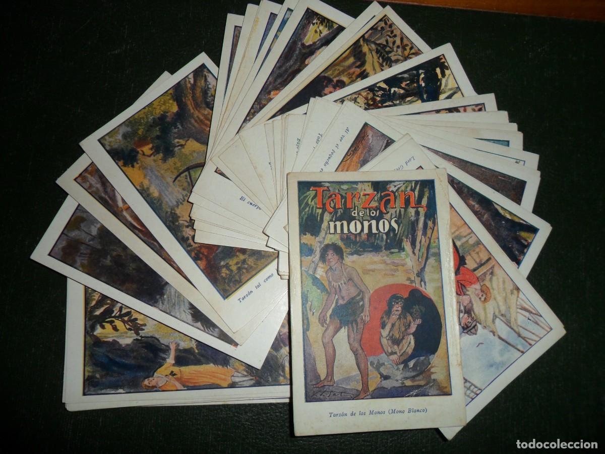 Colecionismo Cromos antigos: CHOCOLATE AMATLLER TARZAN DE LOS MONOS COMPLETA