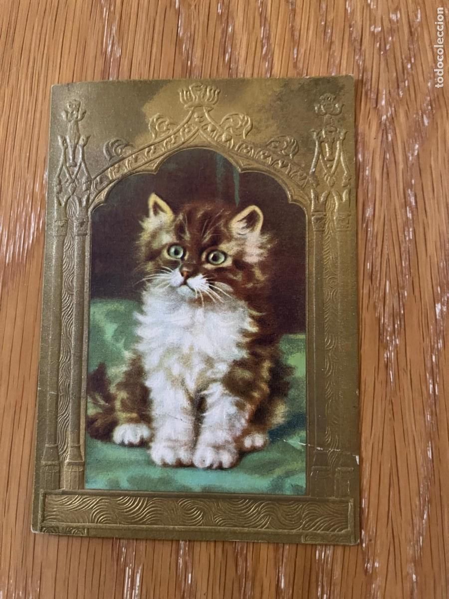 Coleccionismo Cromos antiguos: Evaristo Juncosa Barcelona arte moderno gato persa serie F n&ordm; 3