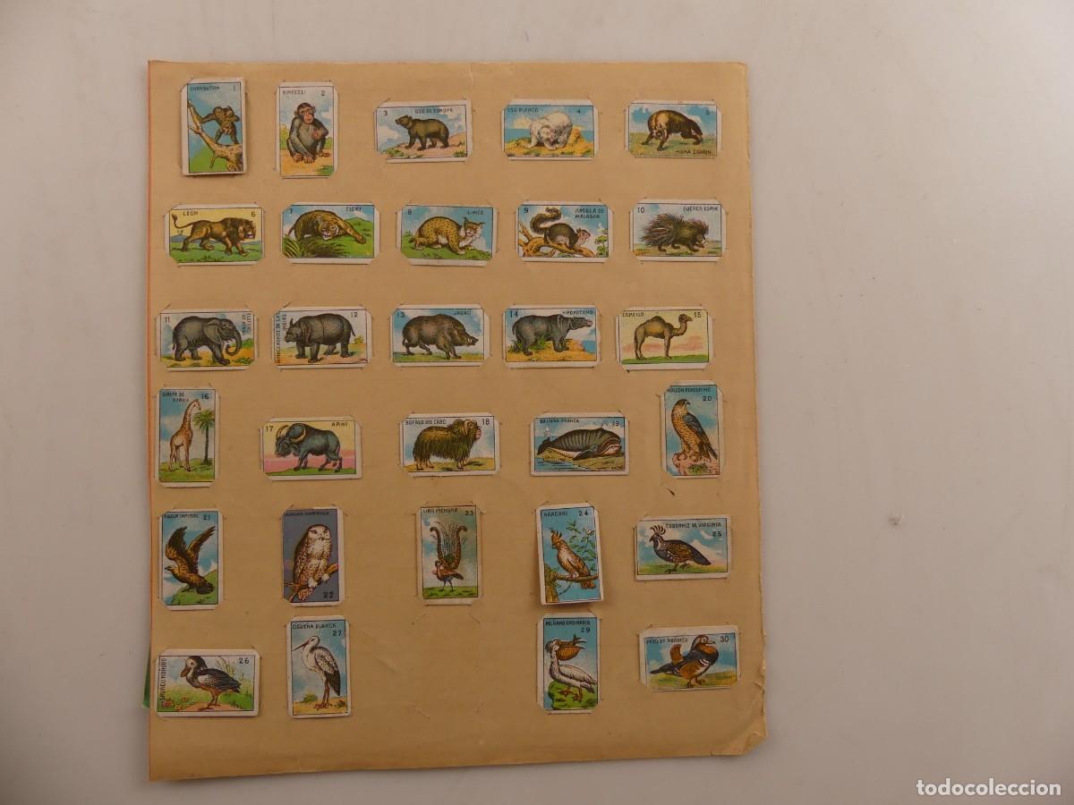 Colecionismo Cromos antigos: HOJA CON COLECCI&Oacute;N DE CROMOS