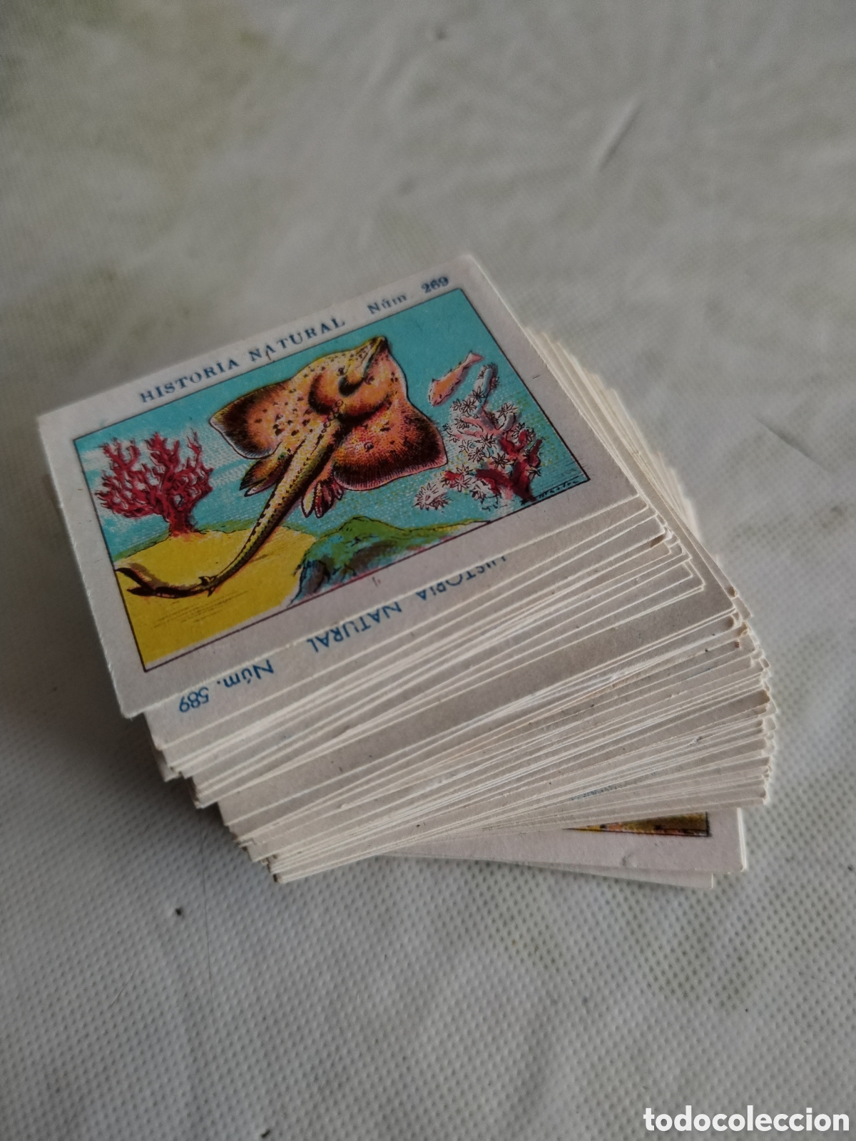Coleccionismo Cromos antiguos: Lote 103 cromos diferentes sin pegar Historia natural Chocolates Juncosa