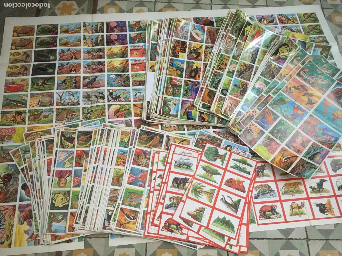 Coleccionismo Cromos antiguos: panorama zoologico ruiz romero lote cientos de cromos nunca pegados nuevos en planchas sin cortar