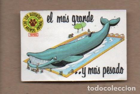 Coleccionismo Cromos antiguos: CROMO BIMBO - LOS RECORDS DEL MUNDO ANIMAL - EL MAS GRANDE Y PESADO. PROMOLINCE.