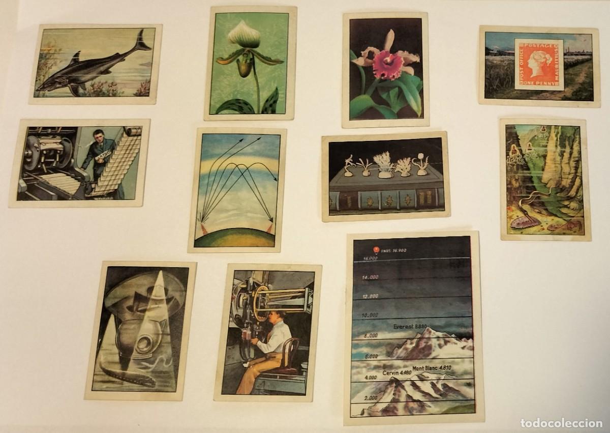 Colecionismo Cromos antigos: 11 cromos LAS MARAVILLAS DEL UNIVERSO I - Nestl&eacute; - 1956. Serie 1 a 24