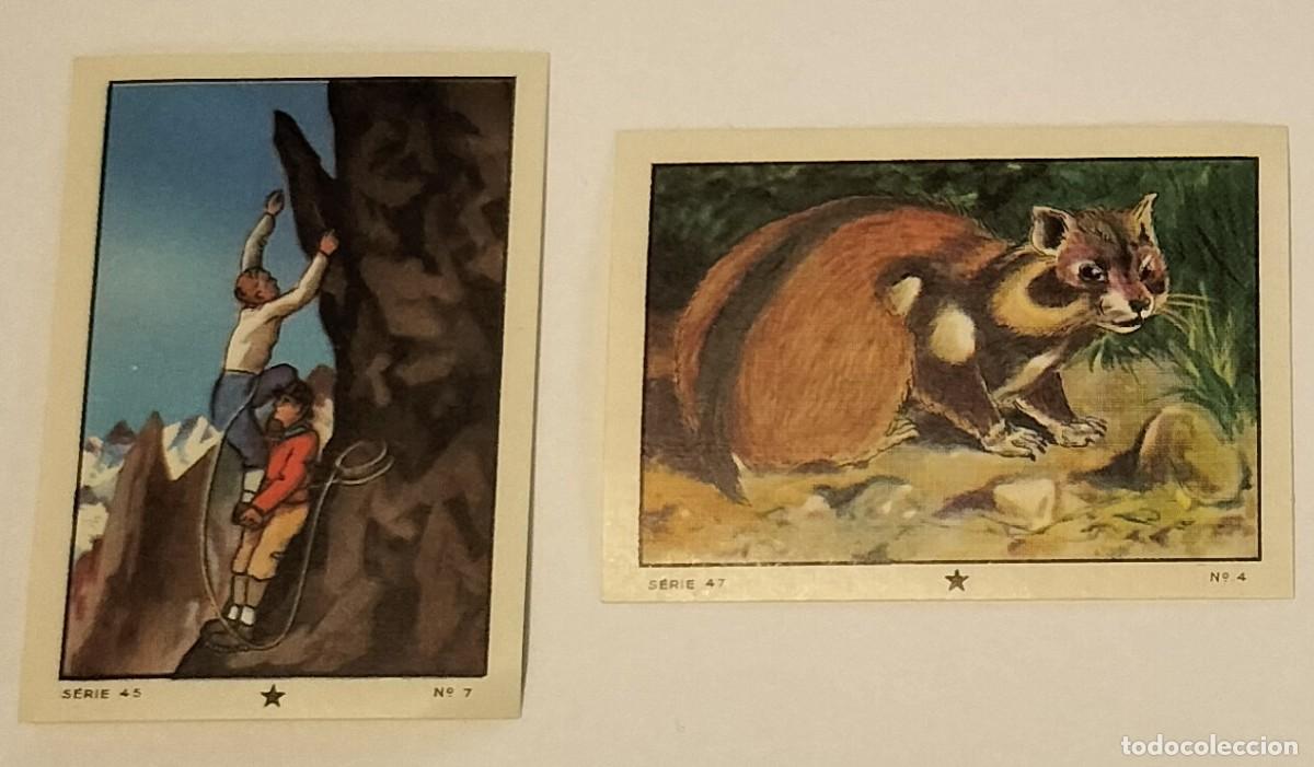 Colecionismo Cromos antigos: 2 cromos LES MERVEILLES DU MONDE III - Nestl&eacute; et Kohler