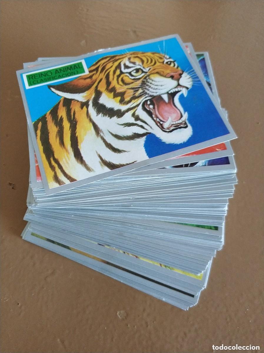 Collezionismo Figurine antiche: Coleccion completa de 288 cromos Zoologia y Botanica de Maga nuevos sin pegar a&ntilde;o 1969 completo