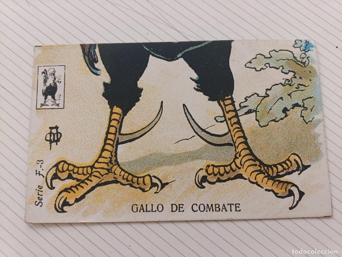 Coleccionismo Cromos antiguos: Gallo de combate. Amatller. Cromo antiguo