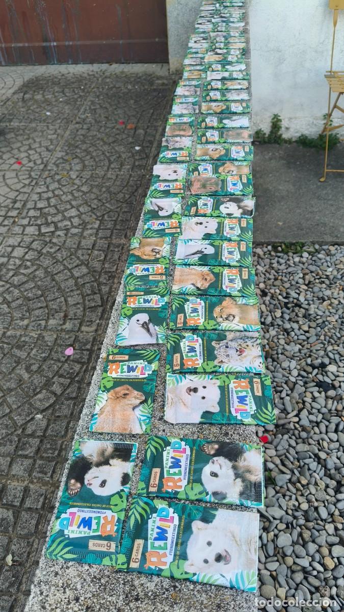 Sammeln alte Sammelbilder: 59 sachet scell&eacute; neuf Panini Rewild 350 carte