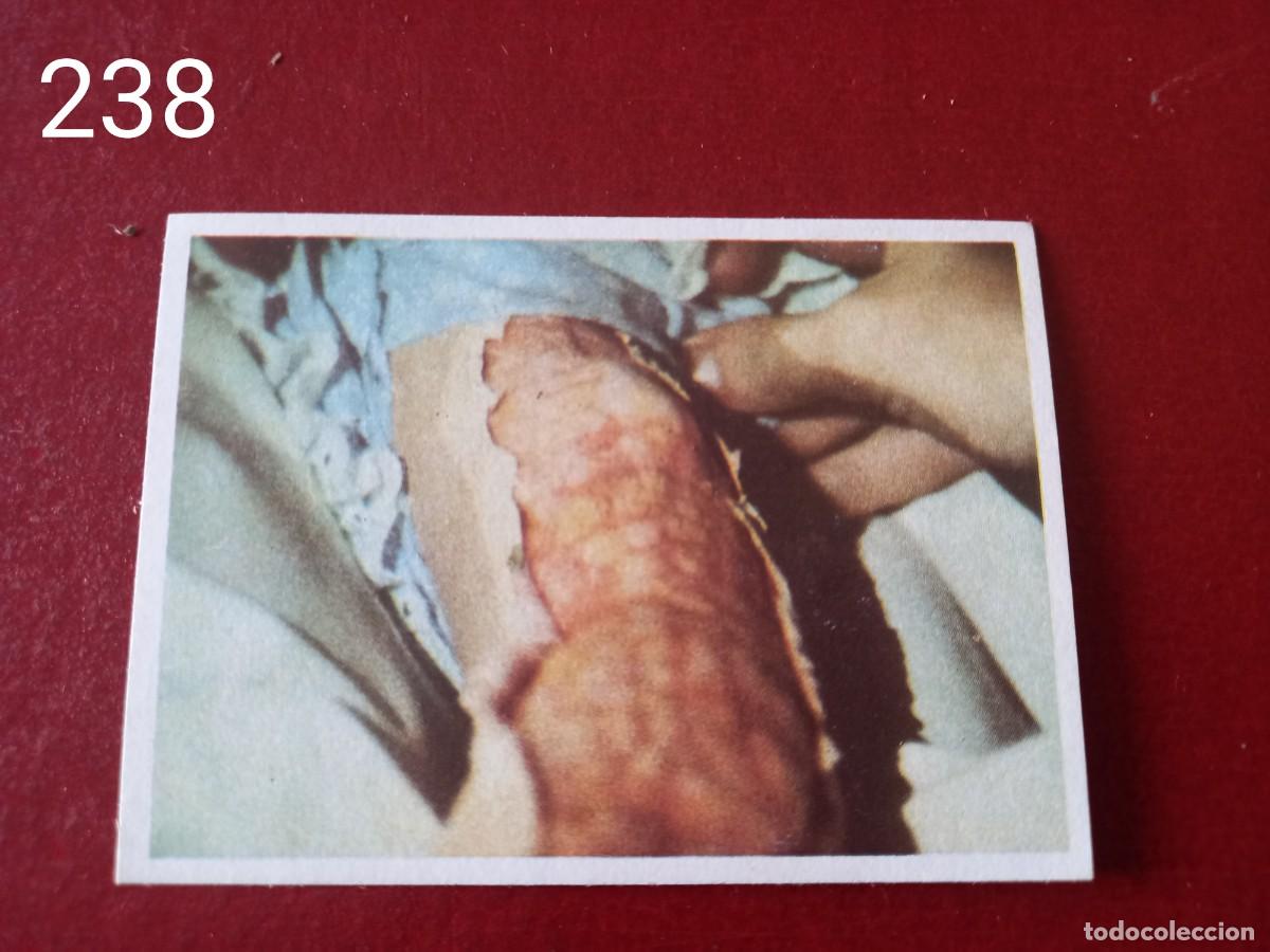 Coleccionismo Cromos antiguos: Cromo n.238 V los visitantes 1984 sin pegar