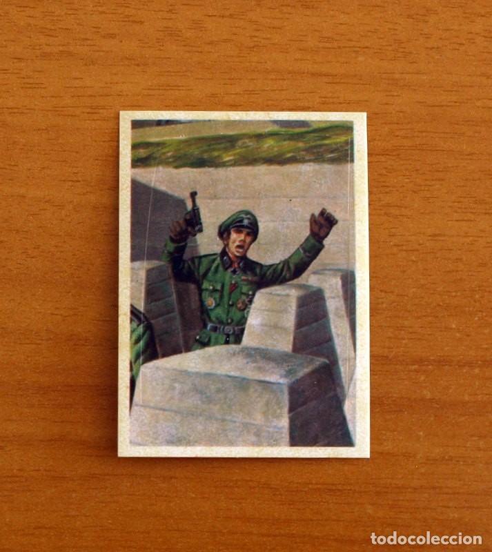 Coleccionismo Cromos antiguos: Fuerzas Armadas - Cromo N&ordm; 73 - Adhesivo Troquelado - Ediciones Maga A&ntilde;o 1981 - Nunca Pegado