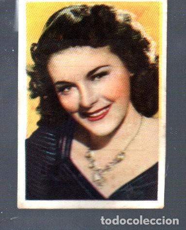 Coleccionismo Cromos antiguos: CROMO DE CINE FOTO DE BRUGUERA HOJA F -19 A N &ordm; 10 MARGUERITE CHAPMAN (NO. ESTUVO PEGADO)