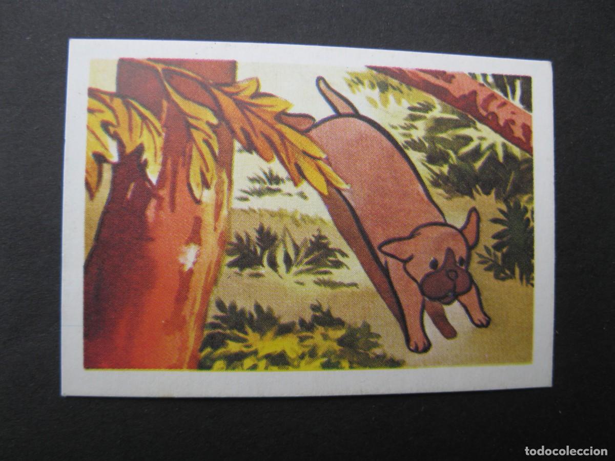 Coleccionismo Cromos antiguos: BANNER Y FLAPI - CROMO N&ordm; 197 - EDITORIAL FHER - NUNCA PEGADO.