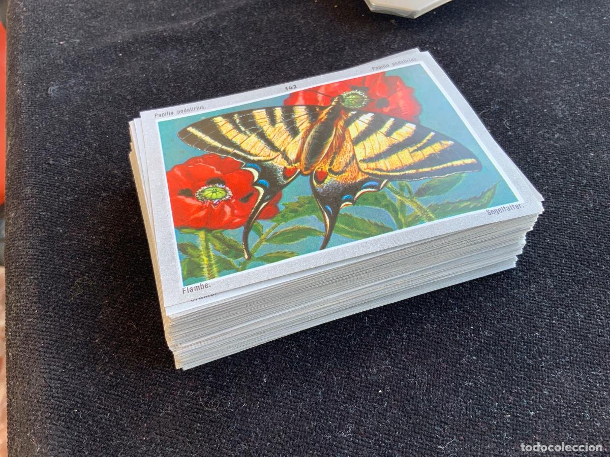 Coleccionismo Cromos antiguos: Lote de 200 cromos, naturaleza, cuerpo humano, animales, flores, insectos, plantas, etc, sin pegar.
