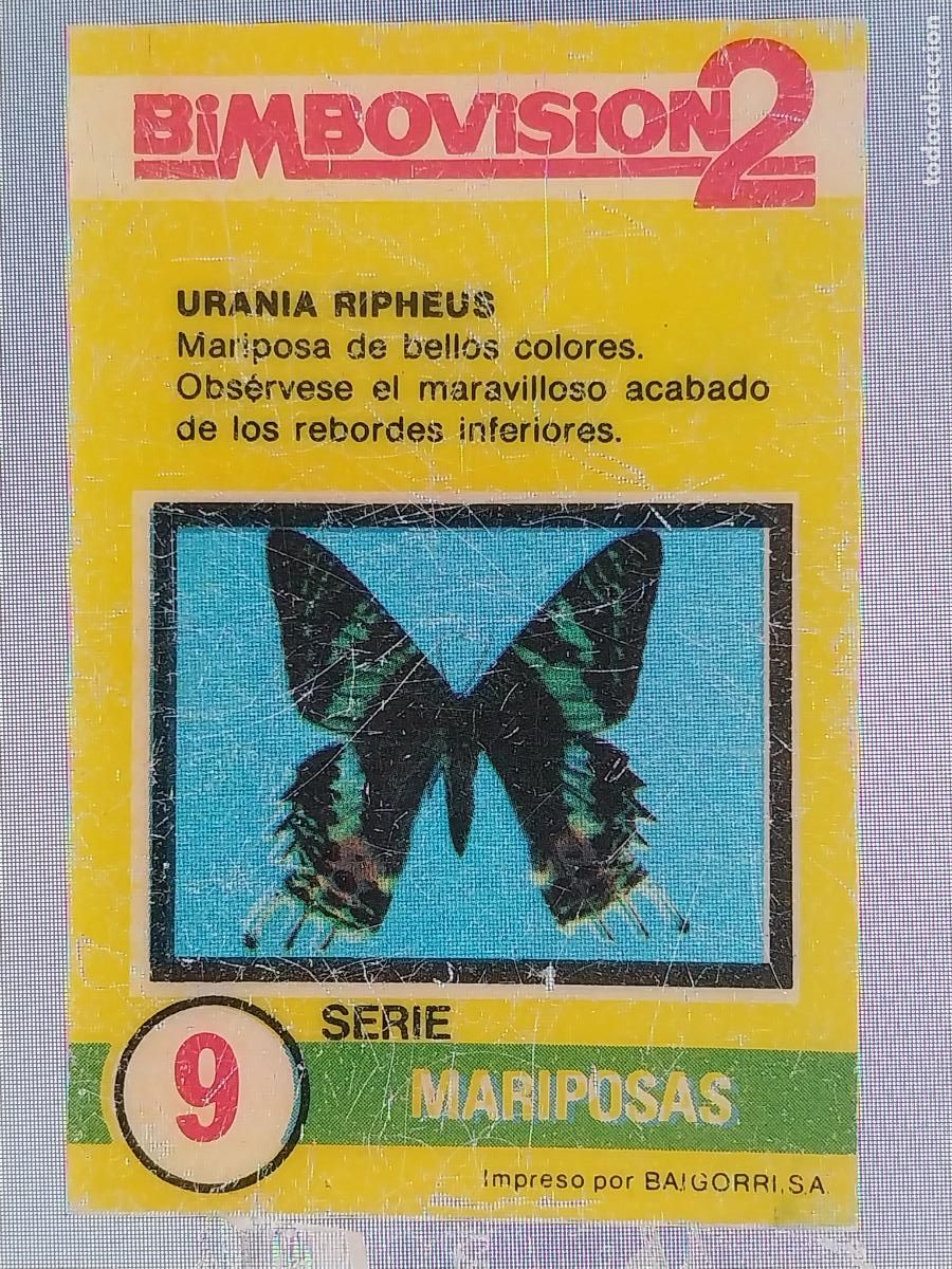 Coleccionismo Cromos antiguos: BIMBO BIMBOVISION 2 CROMO 9 MARIPOSAS URANIA RIPHEUS CR * ORIGINAL A&Ntilde;OS 70 TIPO DIAPOSITIVA