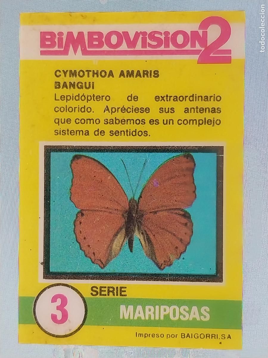 Coleccionismo Cromos antiguos: BIMBO BIMBOVISION 2 CROMO 3 MARIPOSAS CYMOTHOA AMARIS * ORIGINAL A&Ntilde;OS 70 TIPO DIAPOSITIVA