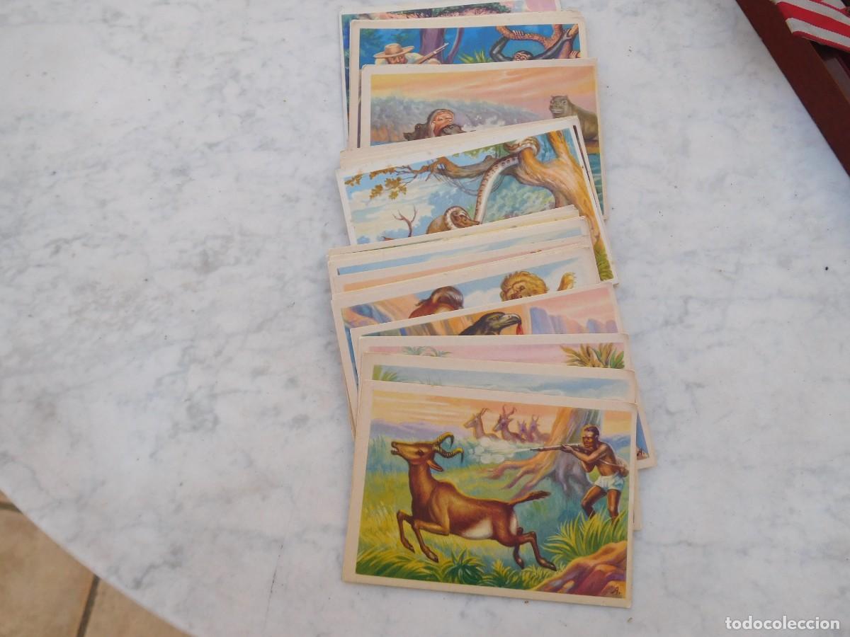 Coleccionismo Cromos antiguos: Colecci&oacute;n notas de un explorador. Chocolates Jaime Boix. Completa 36 Cromos