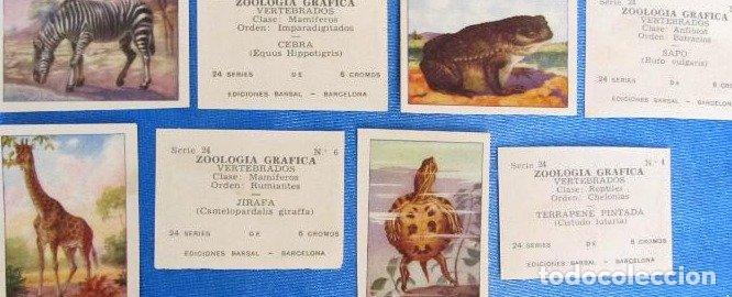 Coleccionismo cromos antiguos: LOTE DE CROMOS. CROMOS SUELTOS; 0,50 &euro;. ZOOLOG&Iacute;A GR&Aacute;FICA O HISTORIA NATURAL. BARSAL Y OTROS, 1950'S
