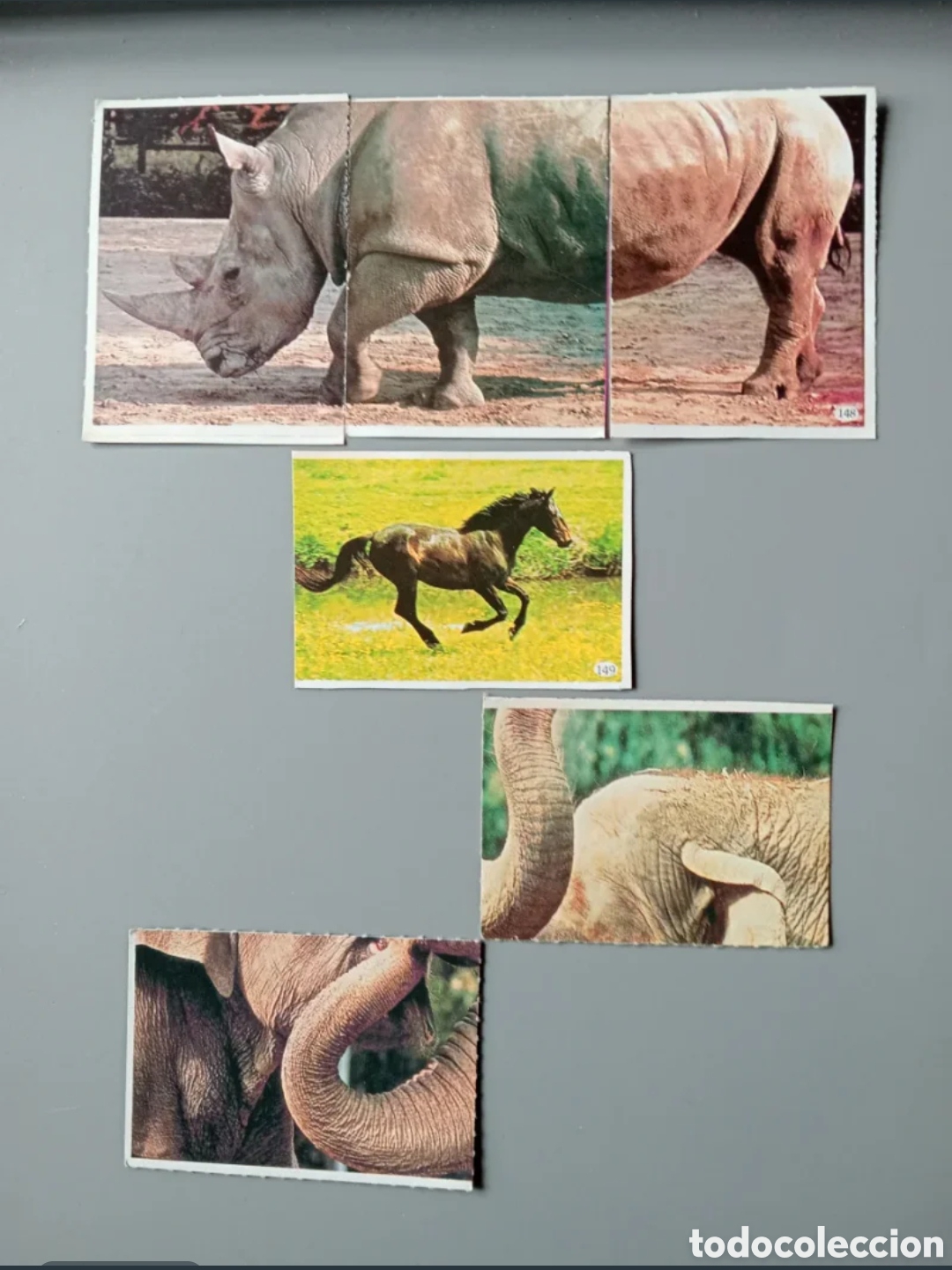 Coleccionismo cromos antiguos: Cromos Animales 1985 - Parte 2 - Foto 2