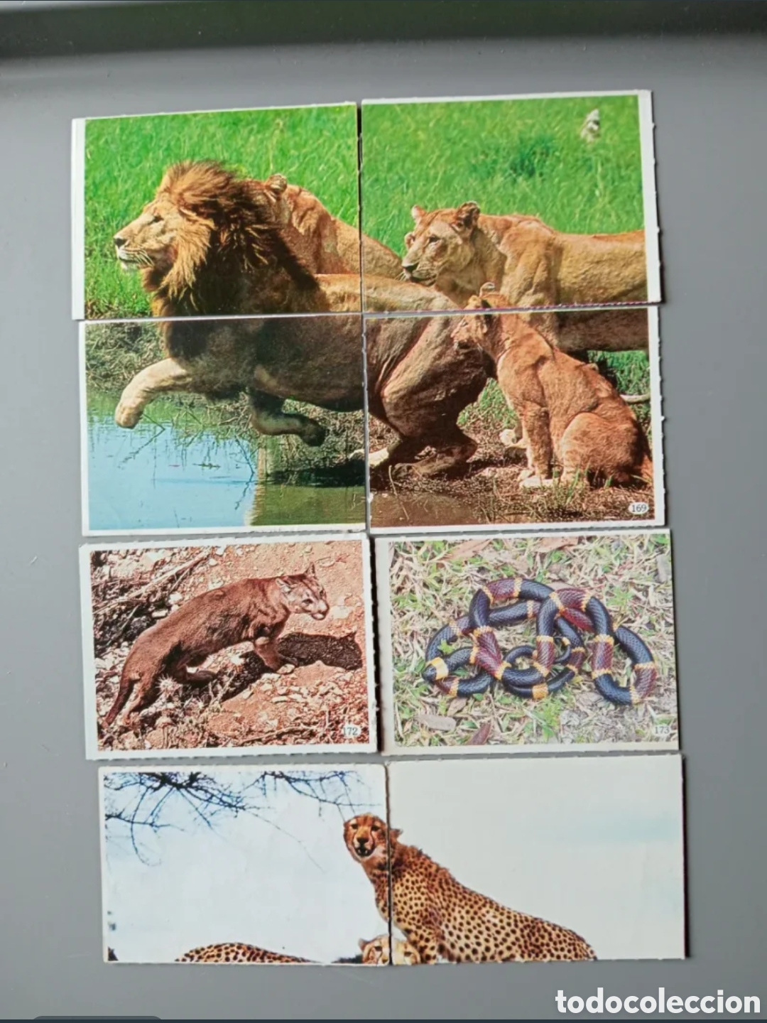 Coleccionismo cromos antiguos: Cromos Animales 1985 - Parte 2 - Foto 4