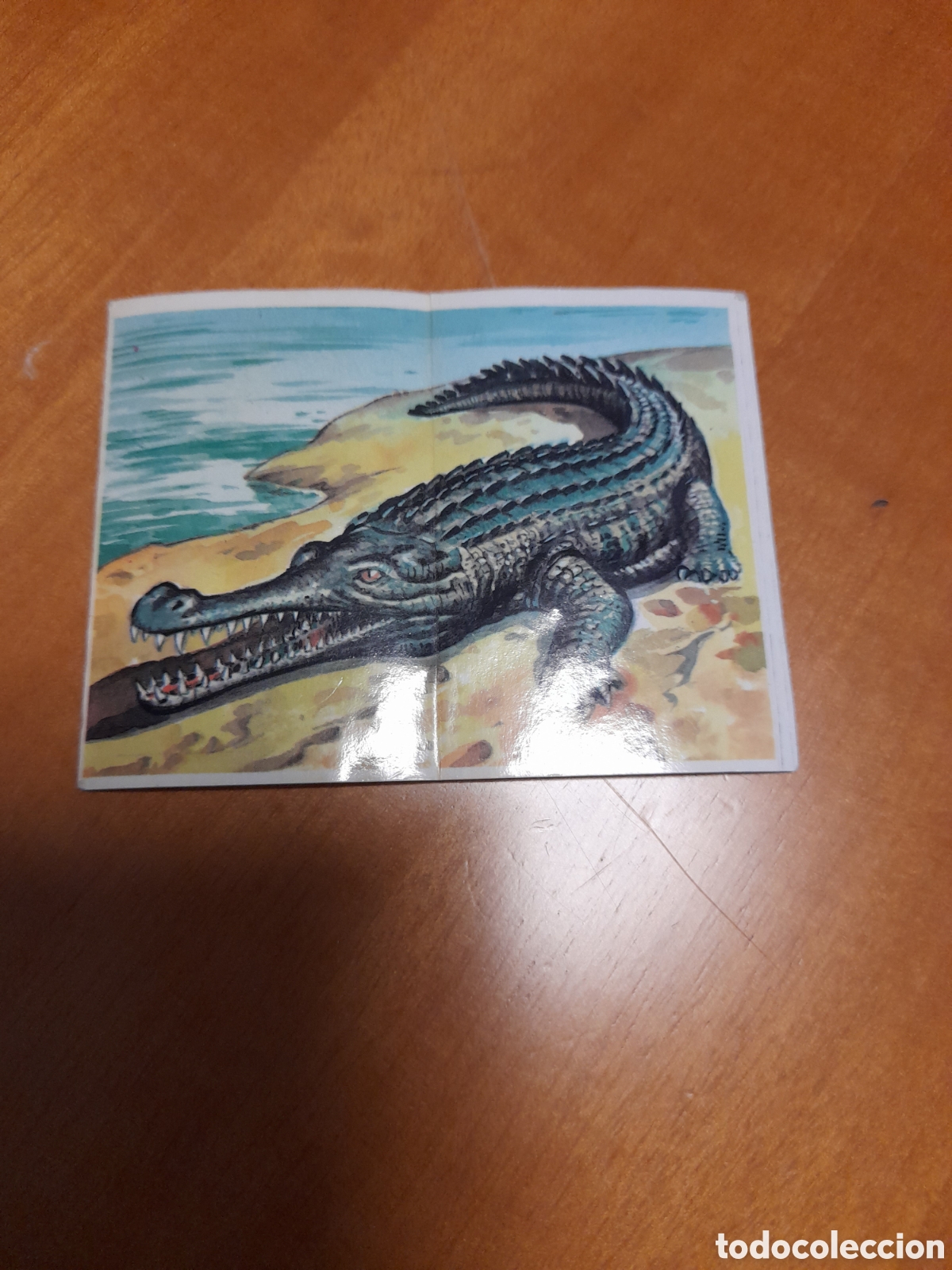 Coleccionismo Cromos antiguos: Cromo.n&deg; 51 dinosaurios bollicao