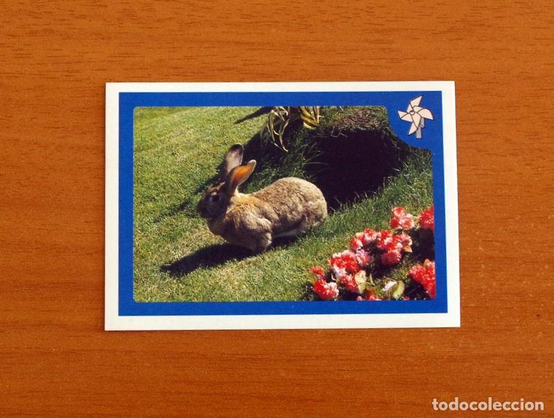 Coleccionismo Cromos antiguos: Teletubbies - N&ordm; 4 -P&aacute;gina 20 y 21 del &aacute;lbum- Editorial Panini A&ntilde;o 1999 -Cromo Adhesivo Nunca Pegado
