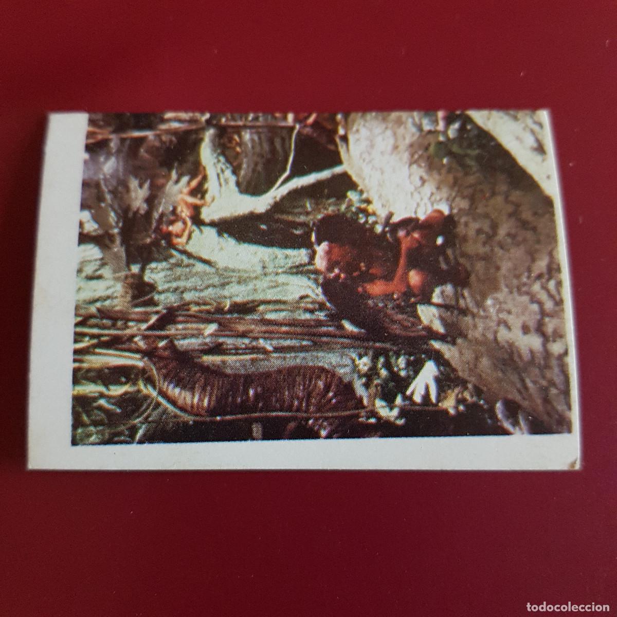 Coleccionismo cromos antiguos: EGCSA - FLASH GORDON - 1980 - 80 - 150 - NUNCA PEGADO - Foto 1