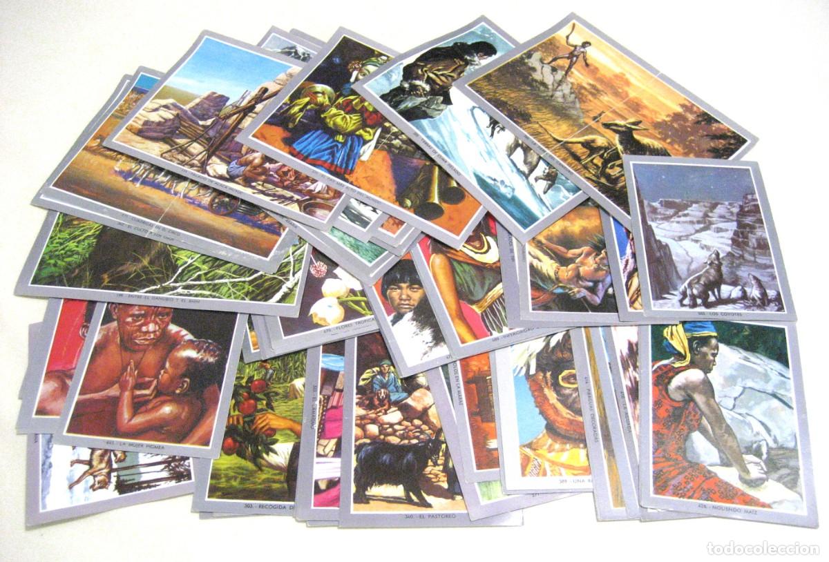 Coleccionismo Cromos antiguos: LOTE DE 61 CROMOS VIDA Y COLOR 2. ALBUMES ESPA&Ntilde;OLES, 1968.
