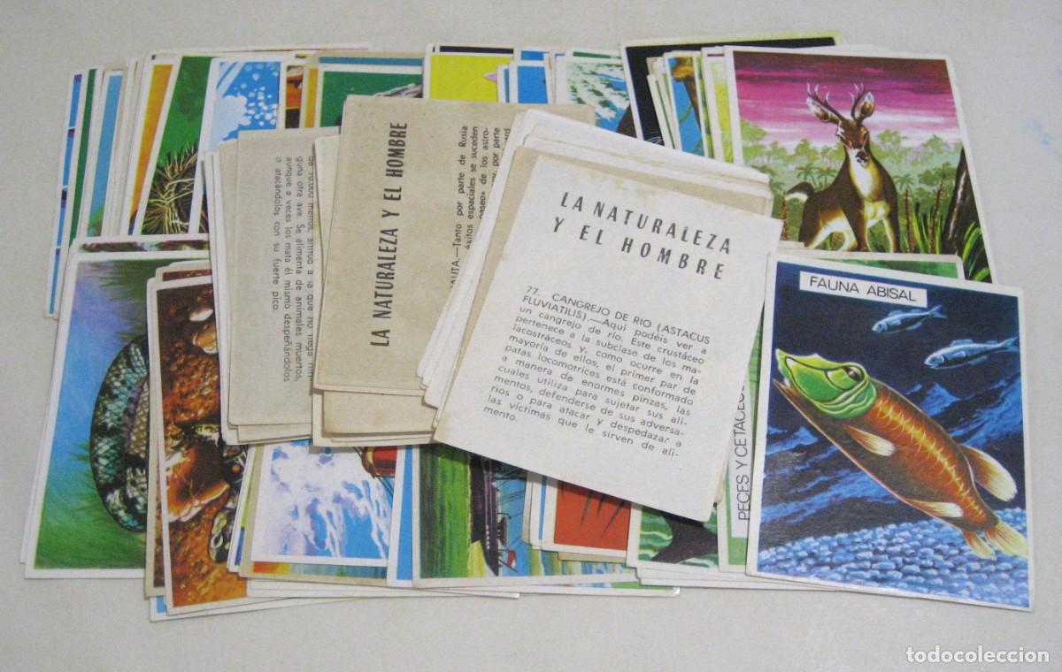 Coleccionismo Cromos antiguos: LOTE DE 176 CROMOS LA NATURALEZA Y EL HOMBRE. MAGA, 1967.