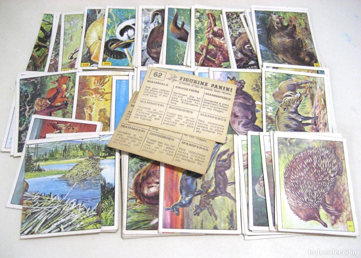 Coleccionismo Cromos antiguos: LOTE DE 108 CROMOS MAMIFEROS. PANINI, 198?.