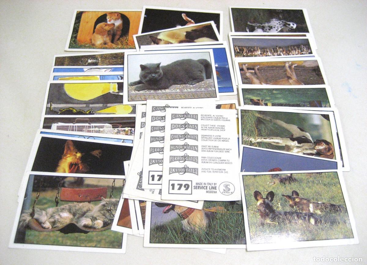 Coleccionismo Cromos antiguos: LOTE DE 55 CROMOS PERROS Y GATOS. SERVICE LINE, 1993.