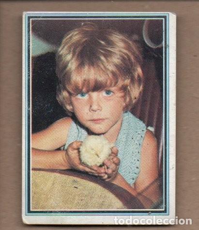 Collectable Antique Stickers: CROMO, TELESTARS N&ordm; 207 - LOLO GARCIA, LA GUERRA DE PAPA. EDICIONES ESTE.