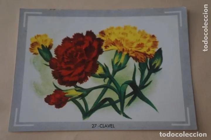 Coleccionismo Cromos antiguos: Cromo n.27 vida y color (1) 1965 - sin pegar