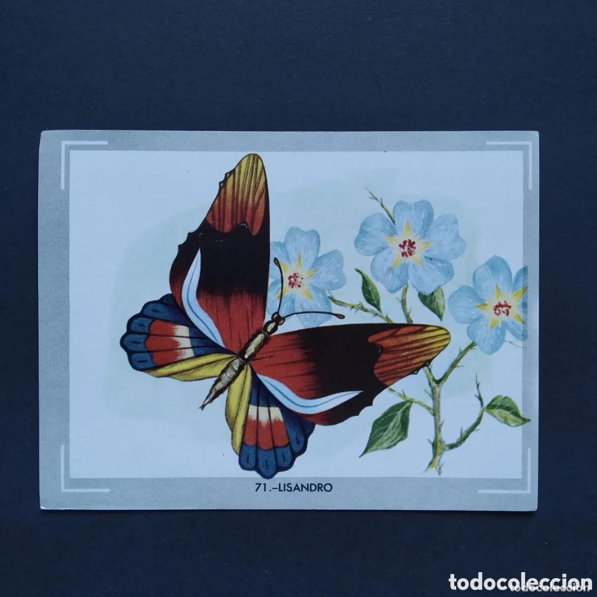 Coleccionismo Cromos antiguos: Cromo n.71 vida y color (1) 1965 - sin pegar