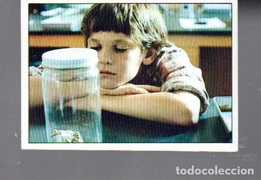 Collezionismo Figurine antiche: CROMOS DE ET EL EXTRATERRESTRE EDITOR ESTE A&Ntilde;O 1982 N &ordm; 31 SIN PEGAR