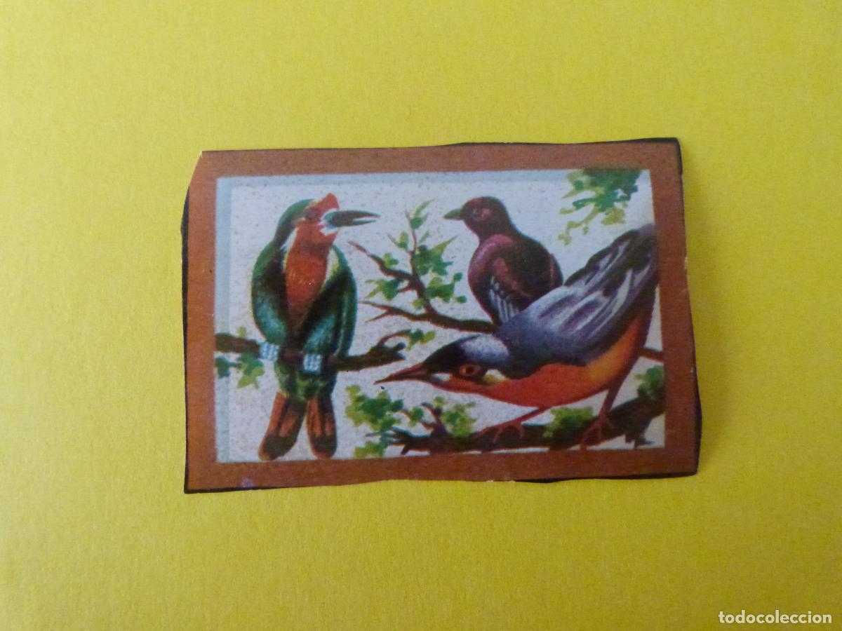 Coleccionismo Cromos antiguos: CROMO PARA NOSOTRAS DESPEGADO N&ordm; 37 A&Ntilde;O 1974 ALBUM PARA NOSOTRAS DE MAGA