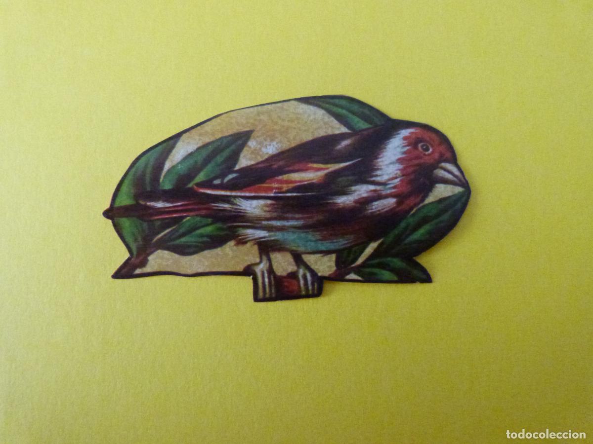 Collezionismo Figurine antiche: CROMO PARA NOSOTRAS DESPEGADO N&ordm; 121 A&Ntilde;O 1974 ALBUM PARA NOSOTRAS DE MAGA