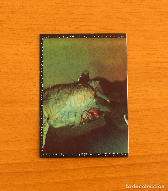 Collectable Antique Stickers: Star Wars - N&ordm; 21 - Editorial Panini A&ntilde;o 1996 - Cromo Adhesivo Nunca Pegado