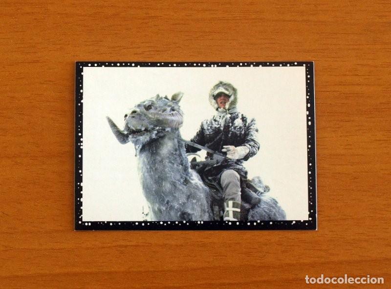 Collectable Antique Stickers: Star Wars - N&ordm; 51 - Editorial Panini A&ntilde;o 1996 - Cromo Adhesivo Nunca Pegado