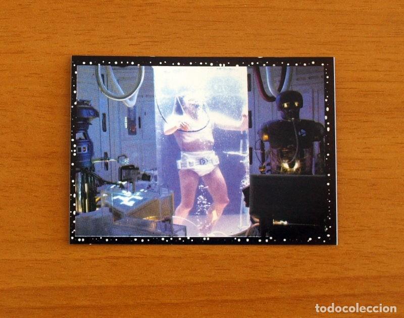 Collectable Antique Stickers: Star Wars - N&ordm; 52 - Editorial Panini A&ntilde;o 1996 - Cromo Adhesivo Nunca Pegado