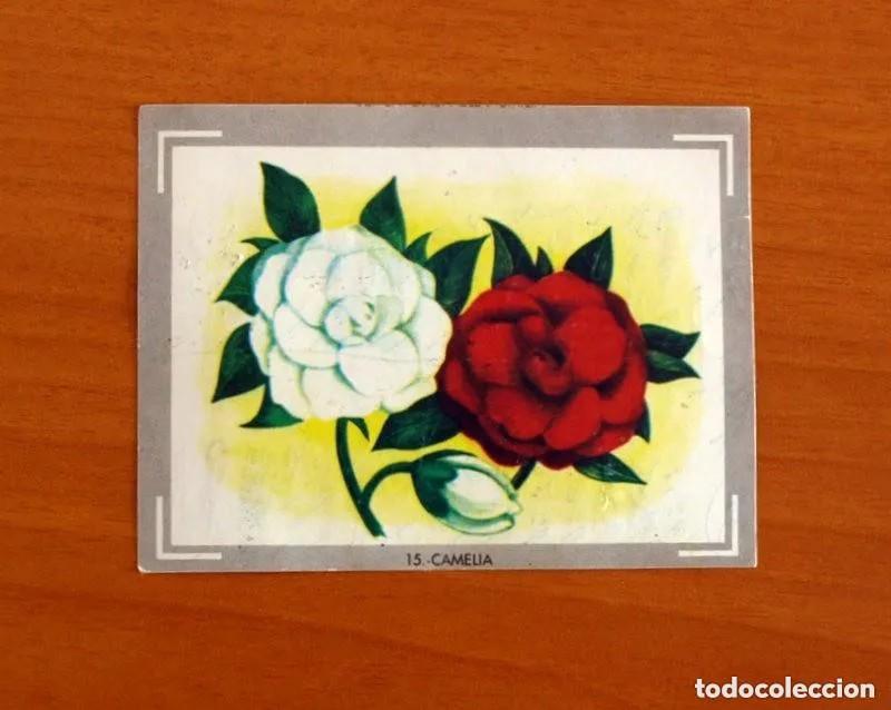 Coleccionismo Cromos antiguos: Cromo n.15 vida y color (1) 1965 - sin pegar