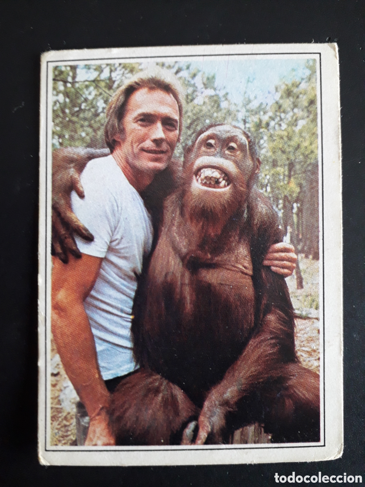 Coleccionismo Cromos antiguos: CLINT EASTWOOD, TELE POP, ED ESTE 1980 N&deg; 181 SIN PEGAR. PEDIDO M&Iacute;NIMO 3&euro;